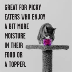 BIXBI Rawbble Beef Pate Wet Food For Cats, 5-oz Can, Case Of 24 -Wellness Sales 895422 PT3. AC SS1800 V1689017852