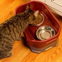 Neater Pets Neater Feeder Elevated Cat Bowls, Cranberry -Wellness Sales 89633 PT3. AC SS1800 V1672862673