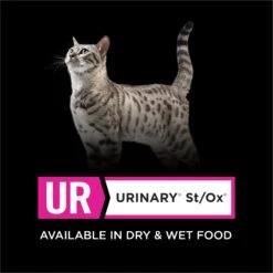 Purina Pro Plan Veterinary Diets UR Urinary St/Ox Savory Selects Salmon In Sauce Wet Cat Food -Wellness Sales 89777 PT5. AC SS1800 V1700156713