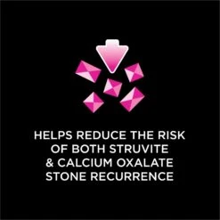 Purina Pro Plan Veterinary Diets UR Urinary St/Ox Savory Selects Salmon In Sauce Wet Cat Food -Wellness Sales 89777 PT6. AC SS1800 V1700157559