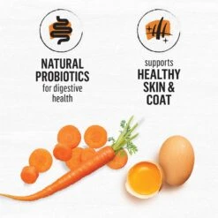 Purina Beyond White Meat Chicken & Egg Recipe Grain-Free Natural Dry Cat Food -Wellness Sales 89926 PT4. AC SS1800 V1703623567