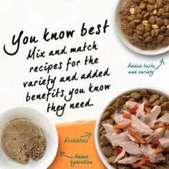 Purina Beyond White Meat Chicken & Egg Recipe Grain-Free Natural Dry Cat Food -Wellness Sales 89926 PT6. AC SS1800 V1703623566