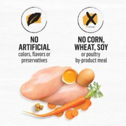 Purina Beyond White Meat Chicken & Egg Recipe Grain-Free Natural Dry Cat Food -Wellness Sales 89926 PT8. AC SS1800 V1703623568