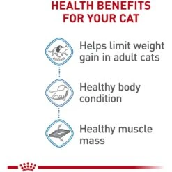 Royal Canin Feline Care Nutrition Weight Care Adult Dry Cat Food 13 Royal Canin Feline Care Nutrition Weight Care Adult Dry Cat Food -Wellness Sales 90075 PT4. AC SS1800 V1697760106