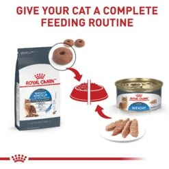 Royal Canin Feline Care Nutrition Weight Care Adult Dry Cat Food 15 Royal Canin Feline Care Nutrition Weight Care Adult Dry Cat Food -Wellness Sales 90075 PT6. AC SS1800 V1697757759