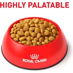 Royal Canin Veterinary Diet Adult Renal Support A Dry Cat Food -Wellness Sales 90662 PT2. AC SS1800 V1701882387