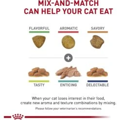 Royal Canin Veterinary Diet Adult Renal Support A Dry Cat Food -Wellness Sales 90662 PT6. AC SS1800 V1701882438