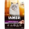 Iams Advanced Health Healthy Digestion Turkey & Chicken Recipe Adult Dry Cat Food