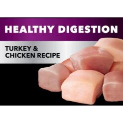 Iams Advanced Health Healthy Digestion Turkey & Chicken Recipe Adult Dry Cat Food -Wellness Sales 908326 PT3. AC SS1800 V1689362991