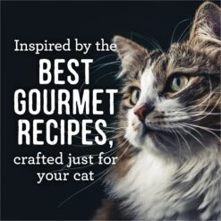 Merrick Purrfect Bistro Soirees Chicken Divan Chuncky Gravy Grain-Free Wet Cat Food, 2.75-oz Can, Case Of 24 -Wellness Sales 912806 PT4. AC SS1800 V1702938989