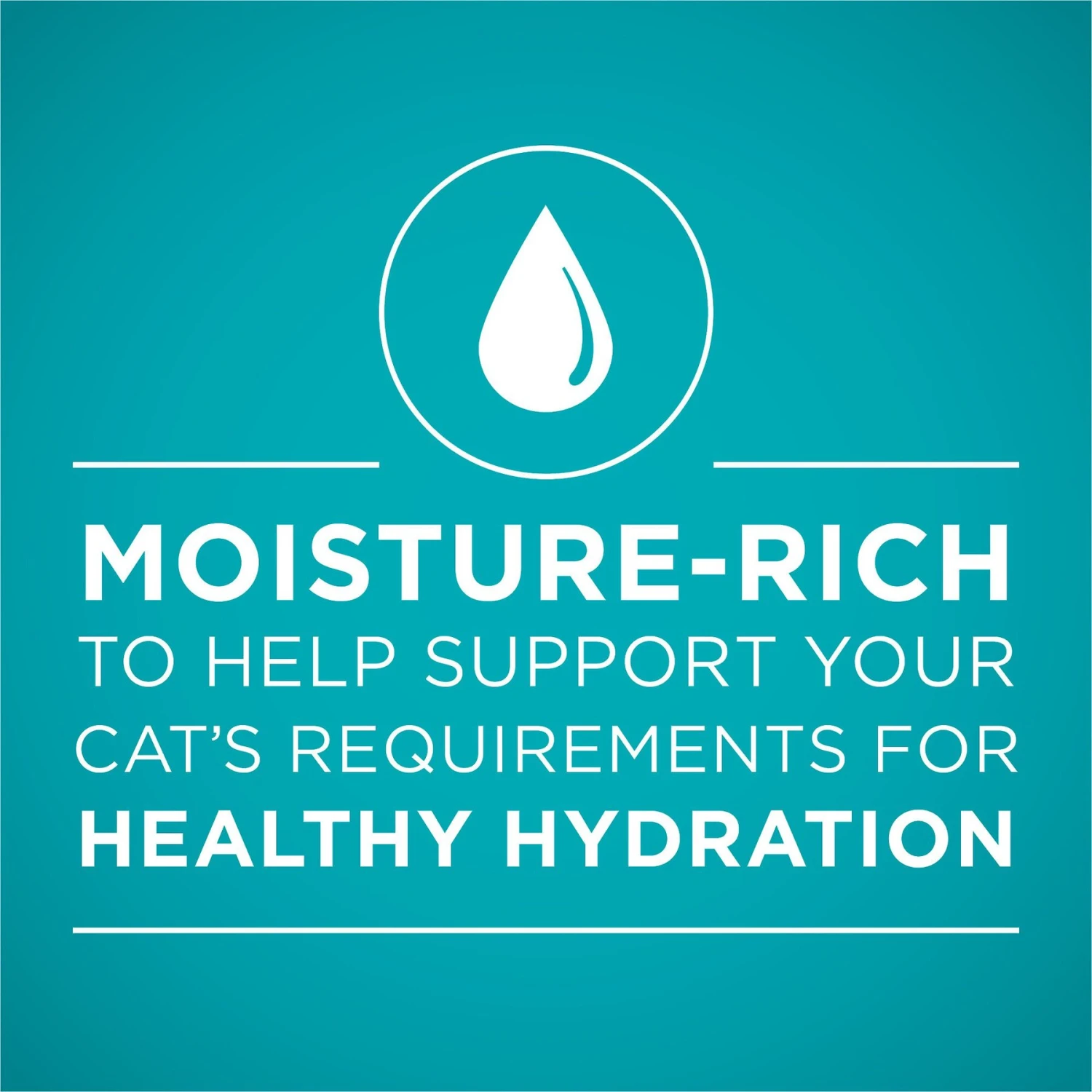 Purina ONE Beef Recipe Pate Grain-Free Natural High Protein Canned Cat Food 3 Purina ONE Beef Recipe Pate Grain-Free Natural High Protein Canned Cat Food - Image 3