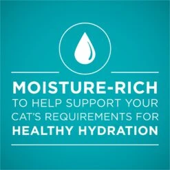 Purina ONE True Instinct Chicken Recipe In Gravy Natural High Protein Canned Cat Food, 3-oz, Case Of 24 11 Purina ONE True Instinct Chicken Recipe In Gravy Natural High Protein Canned Cat Food, 3-oz, Case Of 24 -Wellness Sales 91563 PT2. AC SS1800 V1653501082