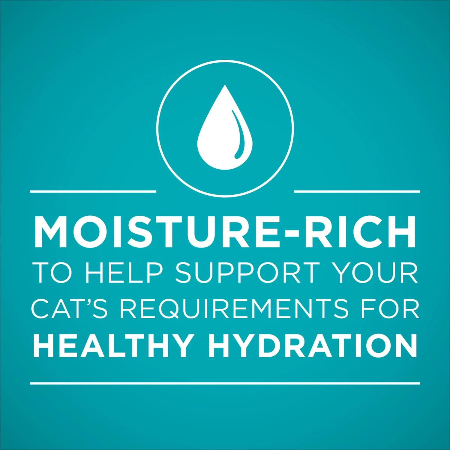 Purina ONE True Instinct Chicken Recipe In Gravy Natural High Protein Canned Cat Food, 3-oz, Case Of 24 3 Purina ONE True Instinct Chicken Recipe In Gravy Natural High Protein Canned Cat Food, 3-oz, Case Of 24 - Image 3