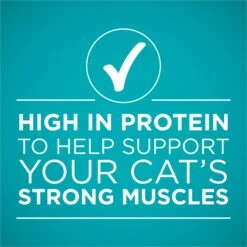 Purina ONE True Instinct Chicken Recipe In Gravy Natural High Protein Canned Cat Food, 3-oz, Case Of 24 14 Purina ONE True Instinct Chicken Recipe In Gravy Natural High Protein Canned Cat Food, 3-oz, Case Of 24 -Wellness Sales 91563 PT5. AC SS1800 V1657661112
