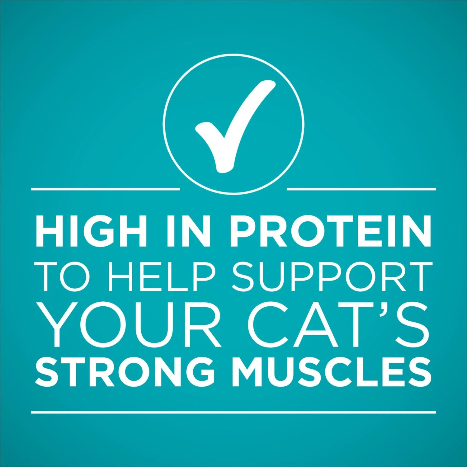 Purina ONE True Instinct Chicken Recipe In Gravy Natural High Protein Canned Cat Food, 3-oz, Case Of 24 6 Purina ONE True Instinct Chicken Recipe In Gravy Natural High Protein Canned Cat Food, 3-oz, Case Of 24 - Image 6