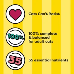 Temptations Block Party BBQ Flavor Adult Dry Cat Food 13 Temptations Block Party BBQ Flavor Adult Dry Cat Food -Wellness Sales 916910 PT4. AC SS1800 V1689945909