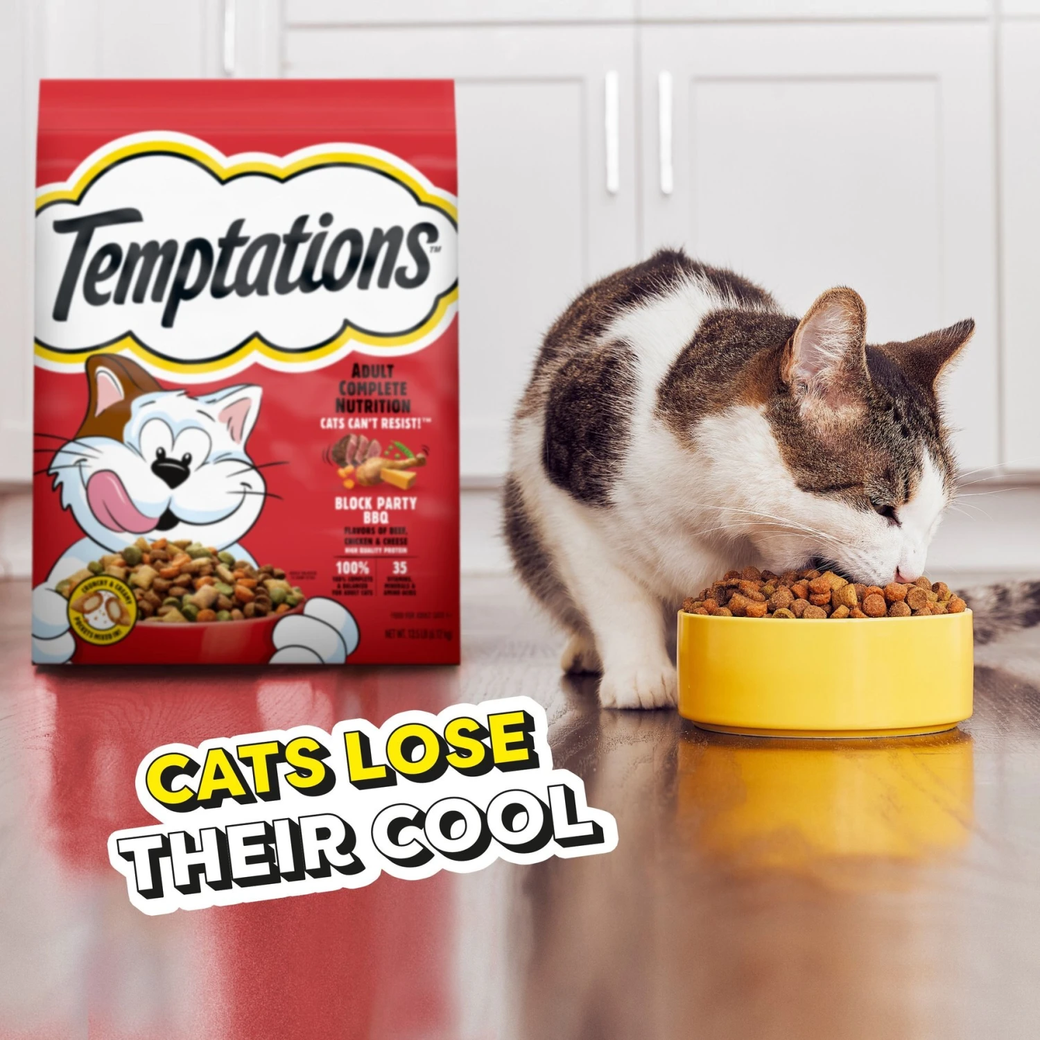 Temptations Block Party BBQ Flavor Adult Dry Cat Food 8 Temptations Block Party BBQ Flavor Adult Dry Cat Food - Image 8