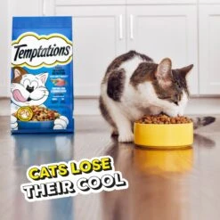 Temptations Tempting Tuna & Chicken Flavor Adult Dry Cat Food 16 Temptations Tempting Tuna & Chicken Flavor Adult Dry Cat Food -Wellness Sales 917006 PT7. AC SS1800 V1689970945