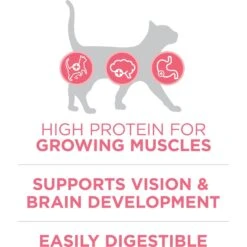 Purina ONE +Plus Healthy Kitten Formula Natural Dry Cat Food -Wellness Sales 91700 PT3. AC SS1800 V1679673105