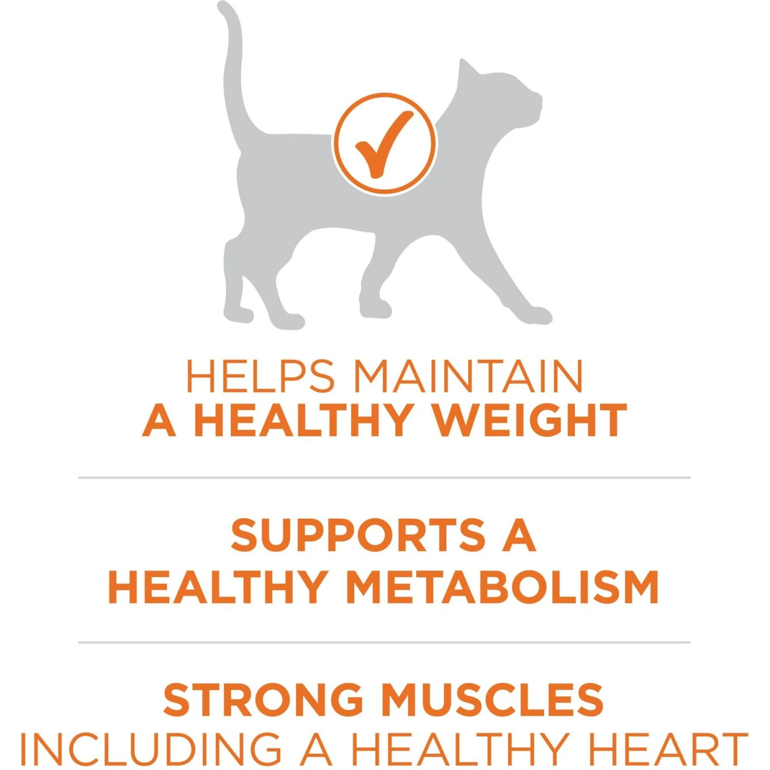 Purina ONE +Plus Ideal Weight Natural High Protein Adult Dry Cat Food 4 Purina ONE +Plus Ideal Weight Natural High Protein Adult Dry Cat Food - Image 4