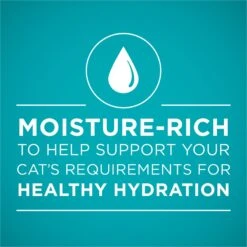 Purina ONE True Instinct Tuna Recipe In Sauce Natural High Protein Canned Cat Food, 3-oz, Case Of 24 -Wellness Sales 91713 PT2. AC SS1800 V1657661113