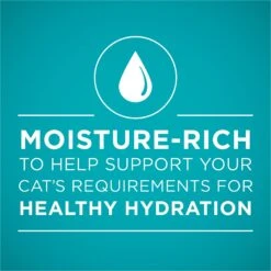 Purina ONE Turkey Recipe Pate Grain-Free Natural High Protein Canned Cat Food, 3-oz, Case Of 24 -Wellness Sales 91727 PT2. AC SS1800 V1653511882