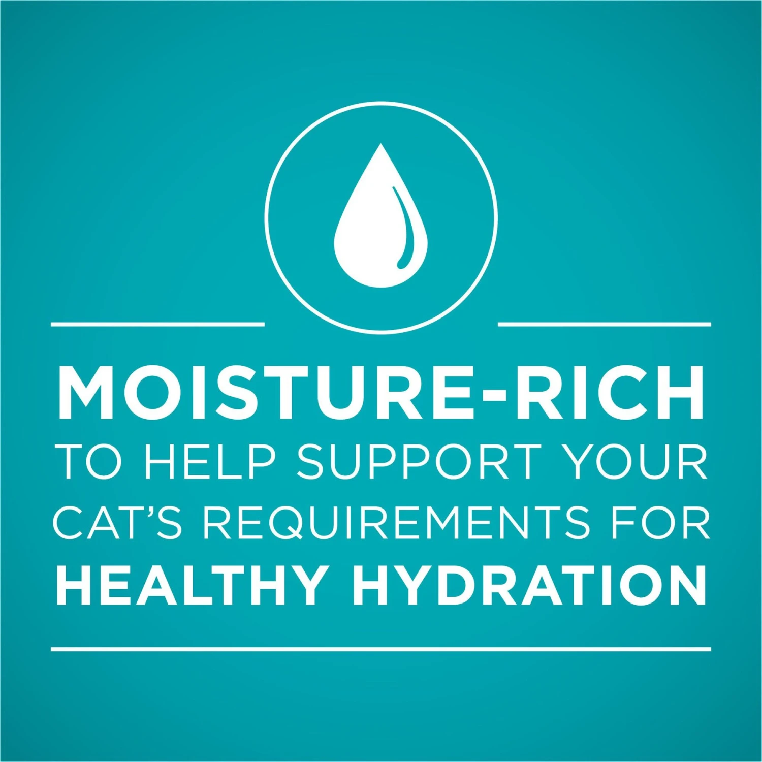 Purina ONE Natural High Protein True Instinct Chicken & Salmon Recipe In Sauce Canned Cat Food 3 Purina ONE Natural High Protein True Instinct Chicken & Salmon Recipe In Sauce Canned Cat Food - Image 3