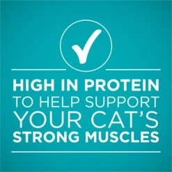 Purina ONE Natural High Protein True Instinct Chicken & Salmon Recipe In Sauce Canned Cat Food 14 Purina ONE Natural High Protein True Instinct Chicken & Salmon Recipe In Sauce Canned Cat Food -Wellness Sales 91774 PT5. AC SS1800 V1657661113