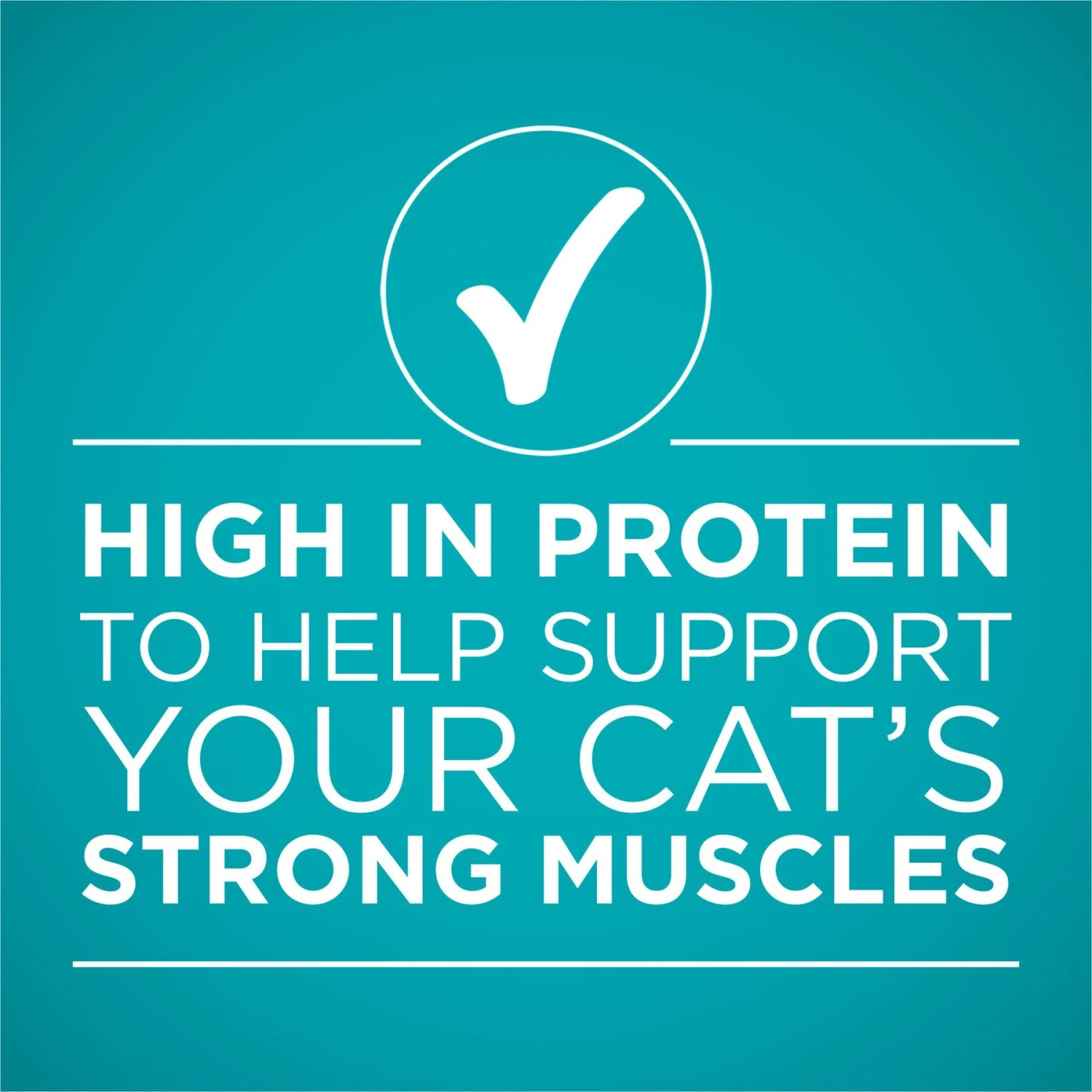 Purina ONE Natural High Protein True Instinct Chicken & Salmon Recipe In Sauce Canned Cat Food 6 Purina ONE Natural High Protein True Instinct Chicken & Salmon Recipe In Sauce Canned Cat Food - Image 6