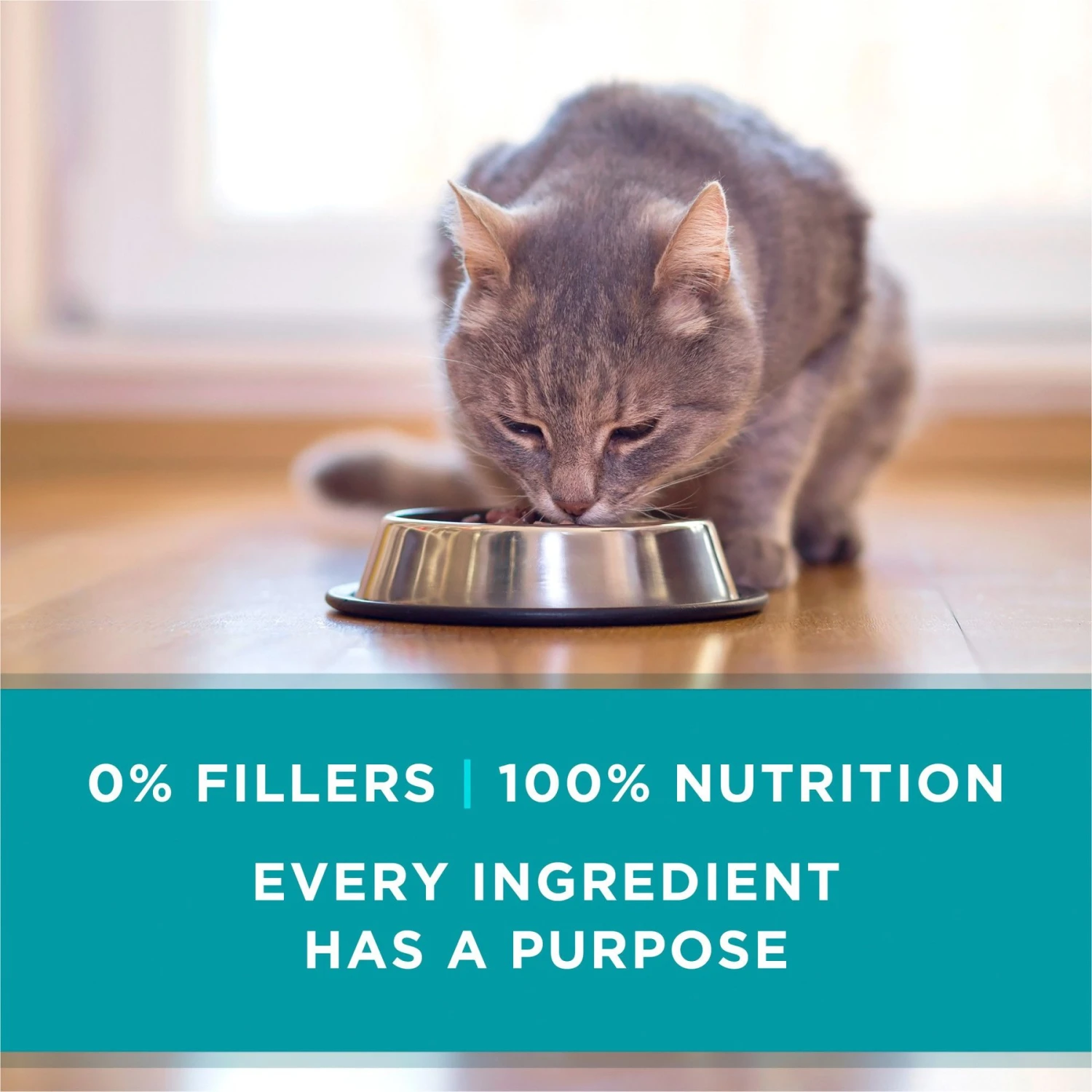 Purina ONE Natural High Protein True Instinct Chicken & Salmon Recipe In Sauce Canned Cat Food 7 Purina ONE Natural High Protein True Instinct Chicken & Salmon Recipe In Sauce Canned Cat Food - Image 7