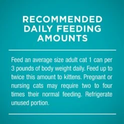 Purina ONE Natural High Protein True Instinct Chicken & Salmon Recipe In Sauce Canned Cat Food 17 Purina ONE Natural High Protein True Instinct Chicken & Salmon Recipe In Sauce Canned Cat Food -Wellness Sales 91774 PT8. AC SS1800 V1543354708