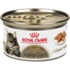 Royal Canin Feline Breed Nutrition Maine Coon Adult Thin Slices In Gravy Wet Cat Food, 3-oz Can, Case Of 24