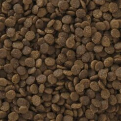 Pro Pac Ultimates Savanna Pride Chicken Grain-Free Indoor Dry Cat Food 8 Pro Pac Ultimates Savanna Pride Chicken Grain-Free Indoor Dry Cat Food -Wellness Sales 92667 PT2. AC SS1800 V1548869610