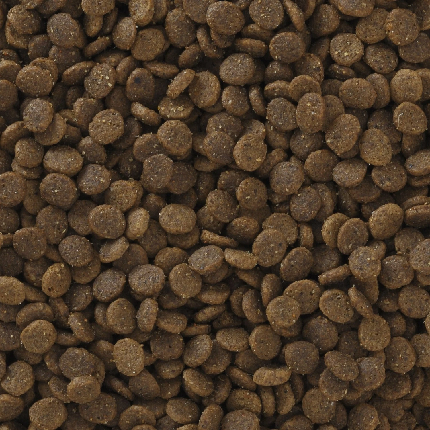 Pro Pac Ultimates Savanna Pride Chicken Grain-Free Indoor Dry Cat Food 3 Pro Pac Ultimates Savanna Pride Chicken Grain-Free Indoor Dry Cat Food - Image 3