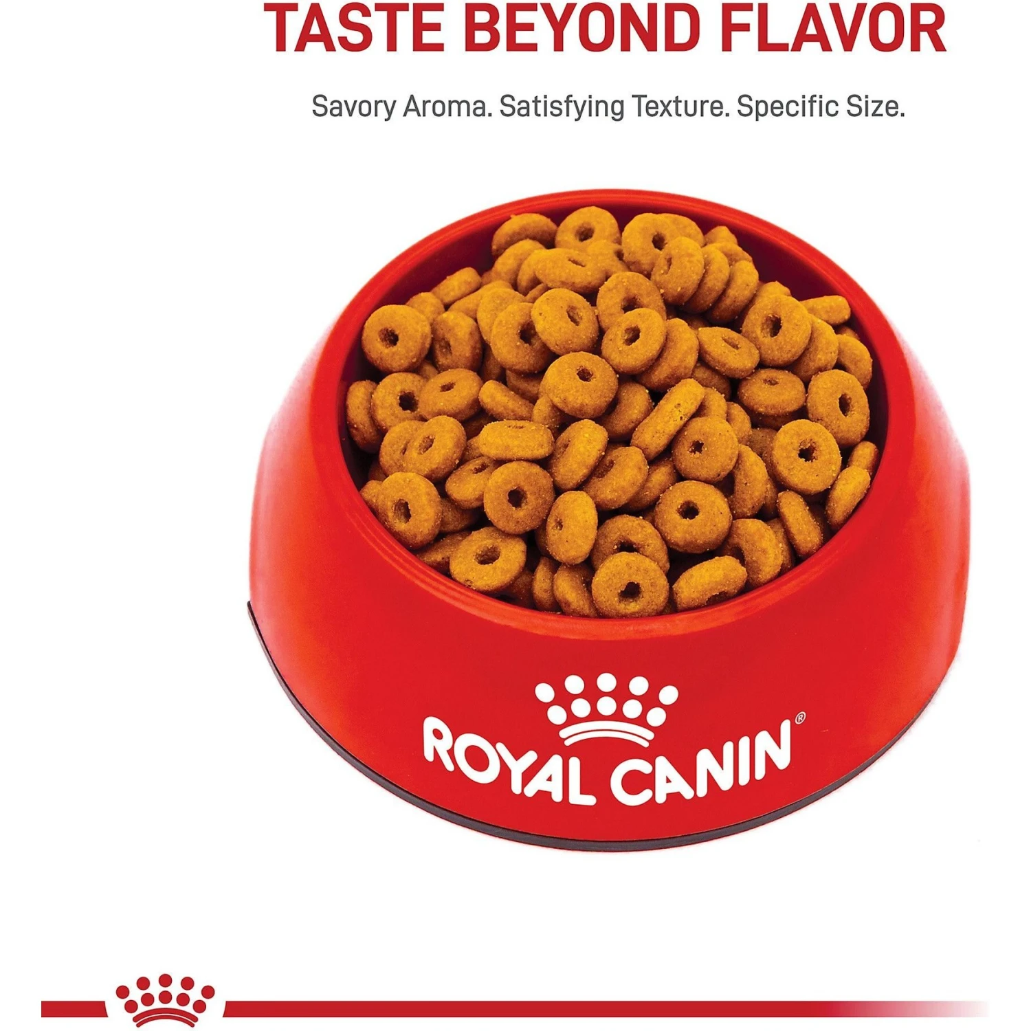 Royal Canin Feline Care Nutrition Digestive Care Dry Cat Food 2 Royal Canin Feline Care Nutrition Digestive Care Dry Cat Food - Image 2
