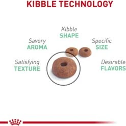 Royal Canin Feline Care Nutrition Digestive Care Dry Cat Food 12 Royal Canin Feline Care Nutrition Digestive Care Dry Cat Food -Wellness Sales 92969 PT3. AC SS1800 V1697760408