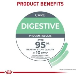 Royal Canin Feline Care Nutrition Digestive Care Dry Cat Food 14 Royal Canin Feline Care Nutrition Digestive Care Dry Cat Food -Wellness Sales 92969 PT5. AC SS1800 V1697761878