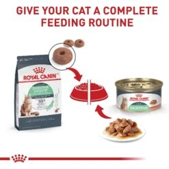 Royal Canin Feline Care Nutrition Digestive Care Dry Cat Food 15 Royal Canin Feline Care Nutrition Digestive Care Dry Cat Food -Wellness Sales 92969 PT6. AC SS1800 V1697760406