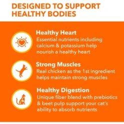 Iams ProActive Health Healthy Adult Original With Chicken Dry Cat Food 13 Iams ProActive Health Healthy Adult Original With Chicken Dry Cat Food -Wellness Sales 93642 PT4. AC SS1800 V1609948652