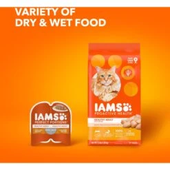 Iams ProActive Health Healthy Adult Original With Chicken Dry Cat Food 17 Iams ProActive Health Healthy Adult Original With Chicken Dry Cat Food -Wellness Sales 93642 PT8. AC SS1800 V1609949910
