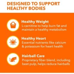 Iams ProActive Health Indoor Weight & Hairball Care Adult Dry Cat Food 13 Iams ProActive Health Indoor Weight & Hairball Care Adult Dry Cat Food -Wellness Sales 93653 PT4. AC SS1800 V1609948705