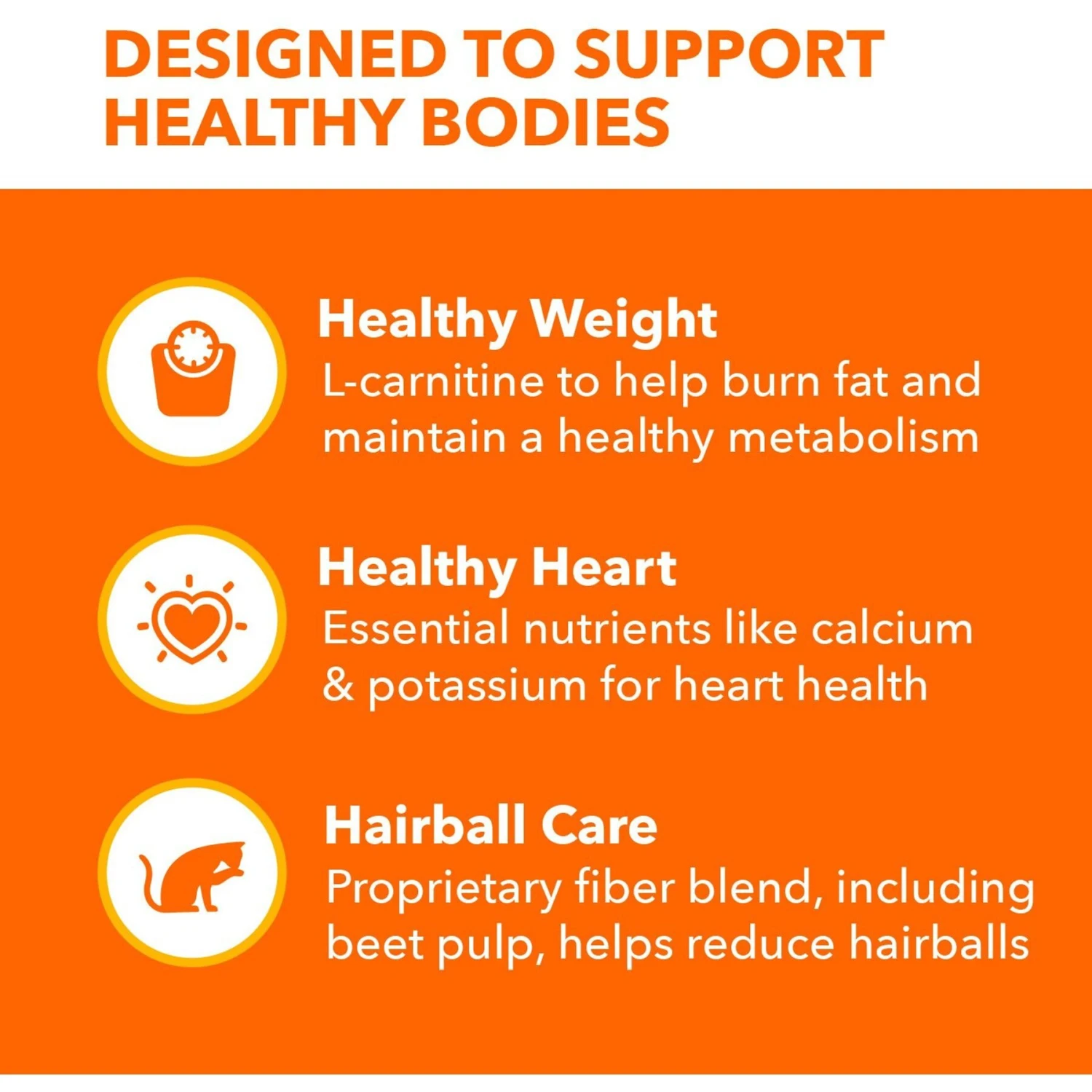 Iams ProActive Health Indoor Weight & Hairball Care Adult Dry Cat Food 5 Iams ProActive Health Indoor Weight & Hairball Care Adult Dry Cat Food - Image 5