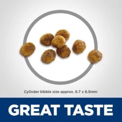 Hill's Science Diet Adult 7+ Chicken Recipe Dry Cat Food 11 Hill's Science Diet Adult 7+ Chicken Recipe Dry Cat Food -Wellness Sales 93924 PT2. AC SS1800 V1598151665