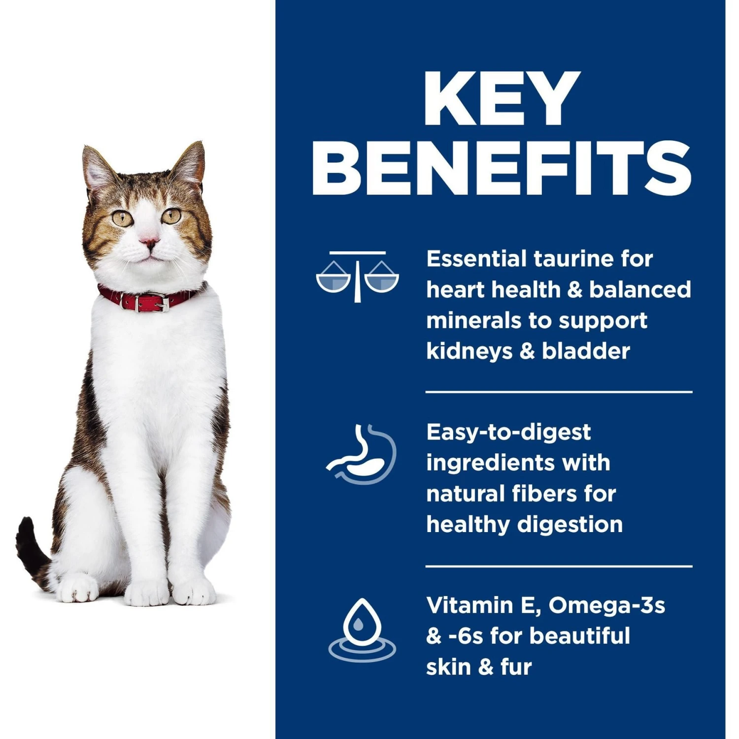 Hill's Science Diet Adult 7+ Chicken Recipe Dry Cat Food 6 Hill's Science Diet Adult 7+ Chicken Recipe Dry Cat Food - Image 6