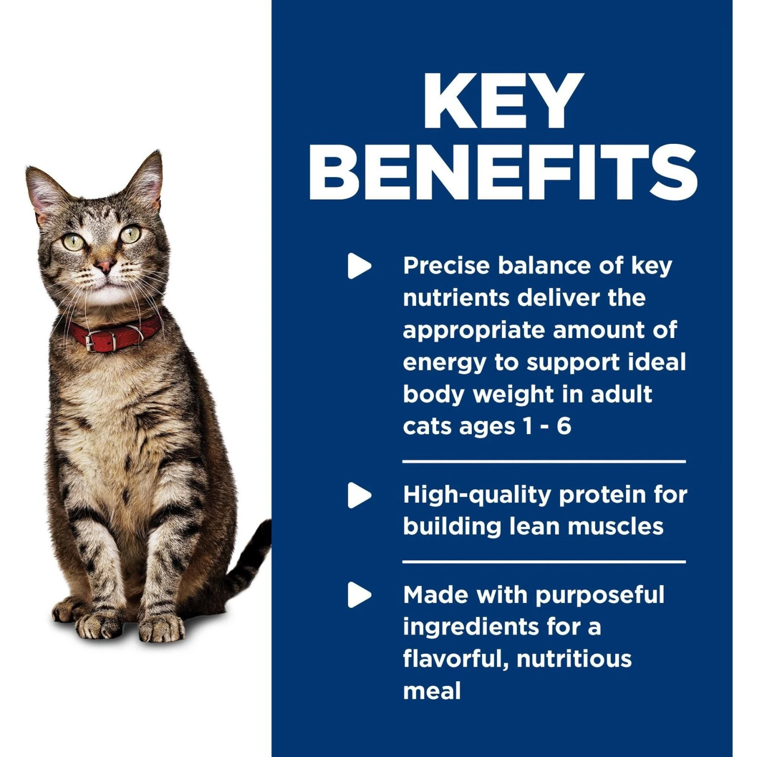 Hill's Science Diet Adult Healthy Cuisine Seared Tuna & Carrot Medley Canned Cat Food 4 Hill's Science Diet Adult Healthy Cuisine Seared Tuna & Carrot Medley Canned Cat Food - Image 4