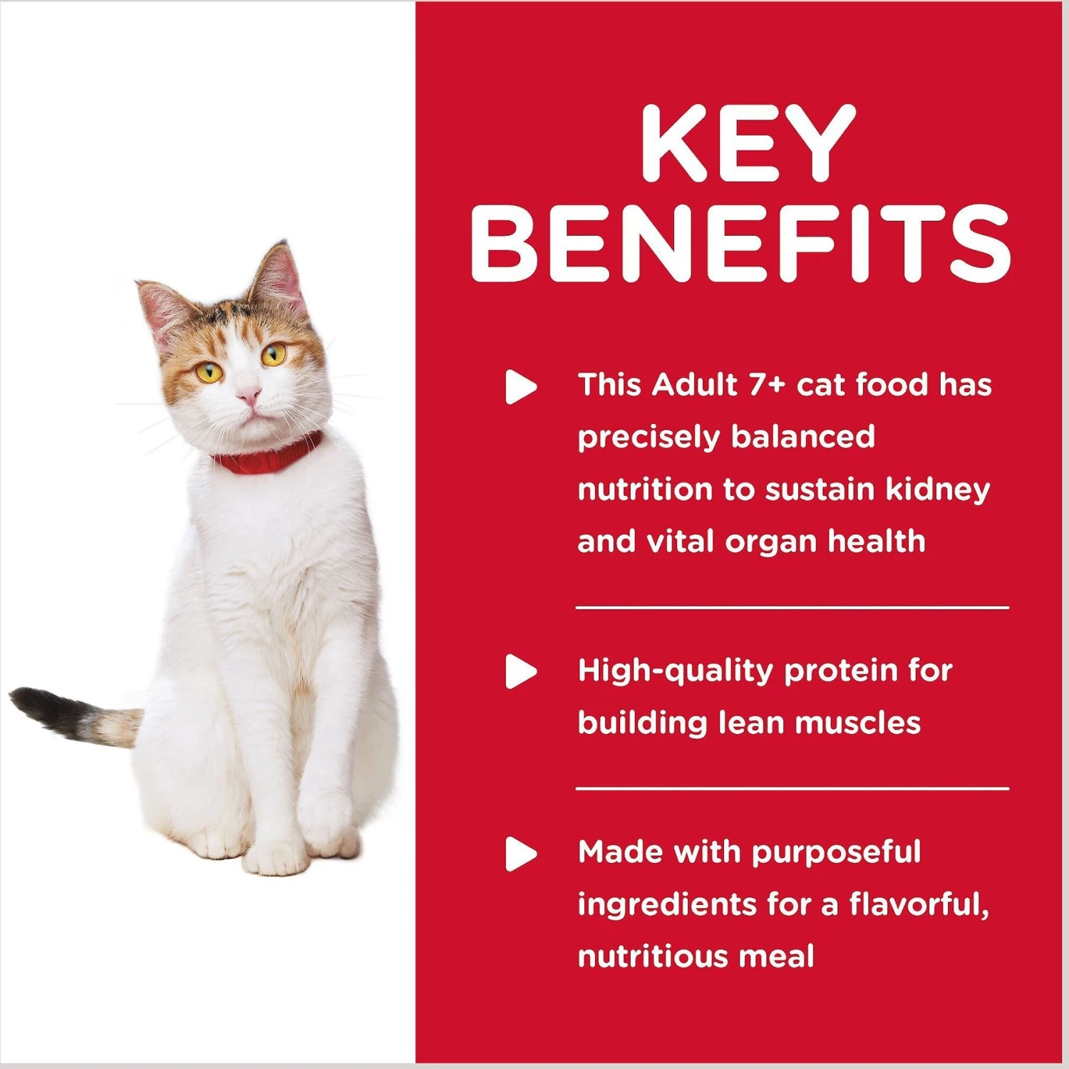 Hill's Science Diet Adult 7+ Healthy Cuisine Roasted Chicken & Rice Medley Canned Cat Food 4 Hill's Science Diet Adult 7+ Healthy Cuisine Roasted Chicken & Rice Medley Canned Cat Food - Image 4