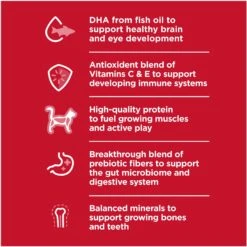 Hill's Science Diet Kitten Healthy Cuisine Tender Chicken & Rice Medley Canned Cat Food 12 Hill's Science Diet Kitten Healthy Cuisine Tender Chicken & Rice Medley Canned Cat Food -Wellness Sales 94018 PT3. AC SS1800 V1693497930