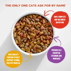 Meow Mix Original Choice Dry Cat Food & Temptations Classic Tasty Chicken Flavor Soft & Crunchy Cat Treats 11 Meow Mix Original Choice Dry Cat Food & Temptations Classic Tasty Chicken Flavor Soft & Crunchy Cat Treats -Wellness Sales 947342 PT2. AC SS1800 V1693600812