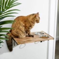 Coziwow Wall Mounted Shelves Set Cat Tree & Frisco Wooden Wall Mounted Stainless Steel Cat Feeding Station With Bowl 17 Coziwow Wall Mounted Shelves Set Cat Tree & Frisco Wooden Wall Mounted Stainless Steel Cat Feeding Station With Bowl -Wellness Sales 947694 PT8. AC SS1800 V1693602742