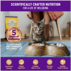 Wellness Healthy Indulgence Gravies With Bits Of Tuna & Mackerel Smothered In Gravy Grain-Free Wet Cat Food Pouches 11 Wellness Healthy Indulgence Gravies With Bits Of Tuna & Mackerel Smothered In Gravy Grain-Free Wet Cat Food Pouches -Wellness Sales 95716 PT3. AC SS1800 V1695837643